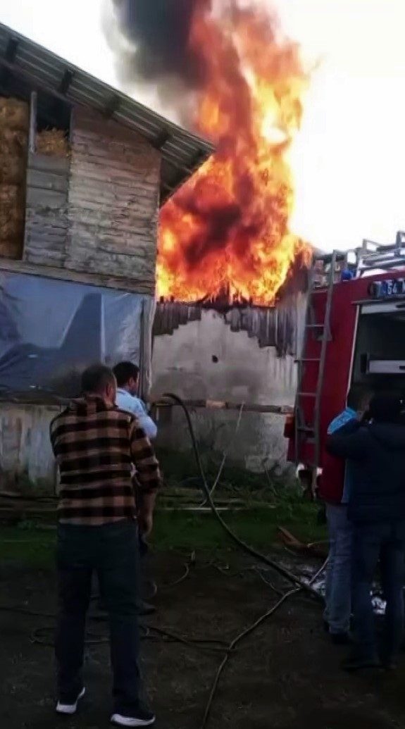 Sakarya’nın Hendek ilçesinde evde çıkan yangın bitişiğindeki samanlığa sıçradı. Ev