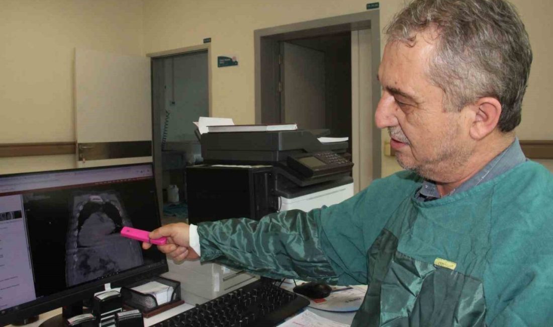 Giresun Eğitim ve Araştırma Hastanesinde demans hastalarının beslenmesinde geliştirilen yeni