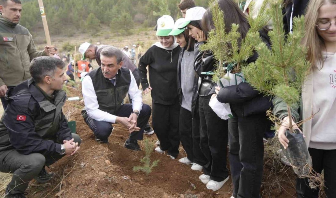Gümüşhane’nin Karşıyaka Mahallesi Mesire Alanı’nda düzenlenen 11 Kasım Milli Ağaçlandırma