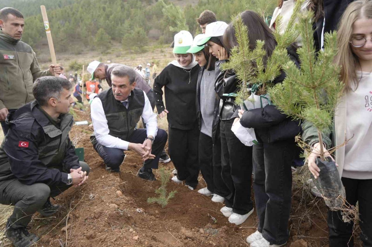 Gümüşhane’nin Karşıyaka Mahallesi Mesire Alanı’nda düzenlenen 11 Kasım Milli Ağaçlandırma