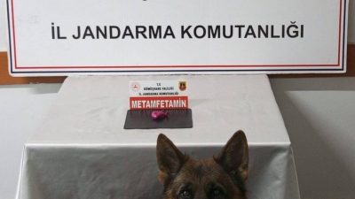 Gümüşhane’de jandarma ekiplerinin gerçekleştirdiği uyuşturucu operasyonunda 2 şahıs yakalandı. Edinilen