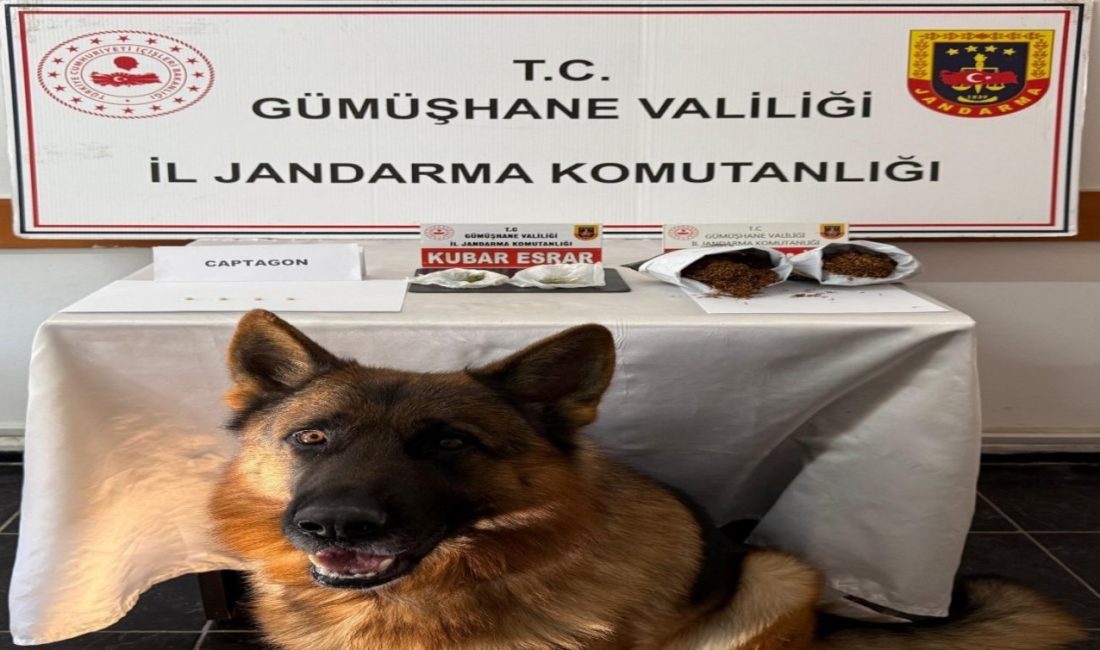 Gümüşhane’de jandarma ekipleri tarafından yapılan uyuşturucu operasyonunda 4 kişi yakalandı.