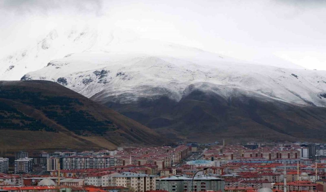Erzurum’da 2025 yılı Ekim ayında bin 421, Türkiye genelinde Temmuz