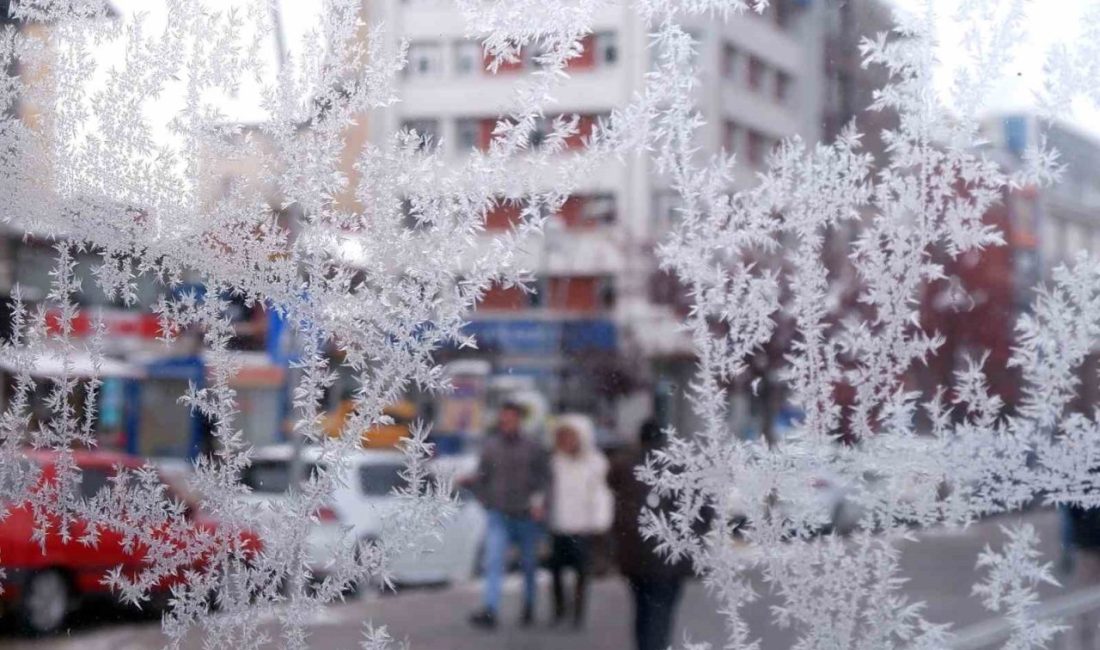 Özellikle ülkemizin doğusunu etkisi altına alan soğuk hava etkisini göstermeye