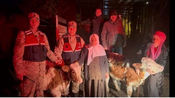 Ardahan’ın Posof ilçesinde çalınan 2 büyükbaş hayvan bulunarak sahibine teslim