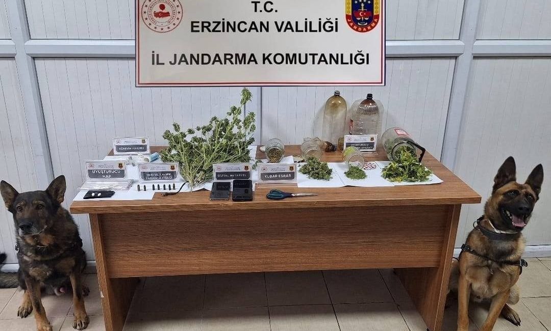 Erzincan İl Jandarma Komutanlığınca, Kasım 2025 ayında yürütülen asayiş, trafik,