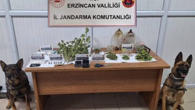 Erzincan İl Jandarma Komutanlığınca, Kasım 2025 ayında yürütülen asayiş, trafik,