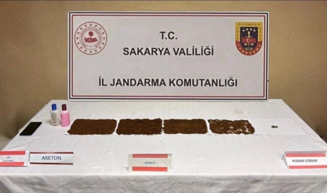 Sakarya’nın Serdivan ilçesinde jandarma ekipleri tarafından yapılan uyuşturucu operasyonunda gözaltına