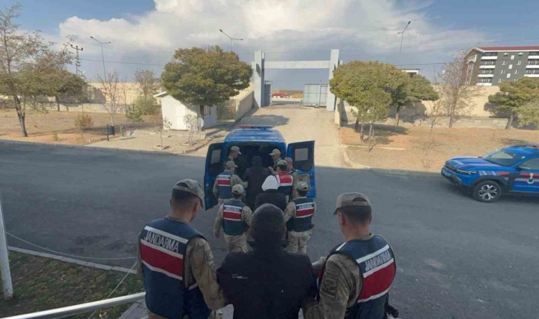 Erzurum’un Horasan ilçesinde kaçak kazı yapan şahıslara yönelik Jandarma ekiplerince