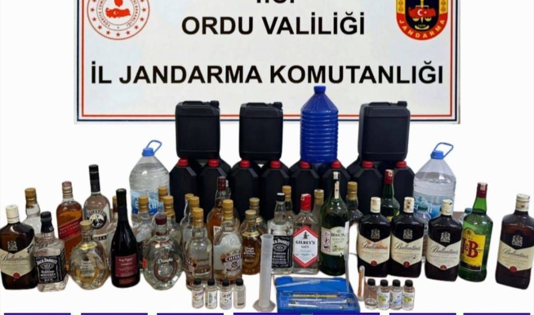 Ordu İl Jandarma Komutanlığı ekipleri tarafından yaklaşan yılbaşı öncesi sahte