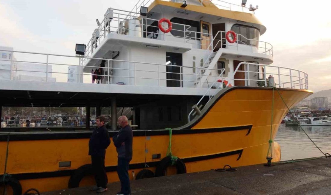 Karadeniz’de bu sezon uzun yıllar sonra ilk kez hamsi bolluğu