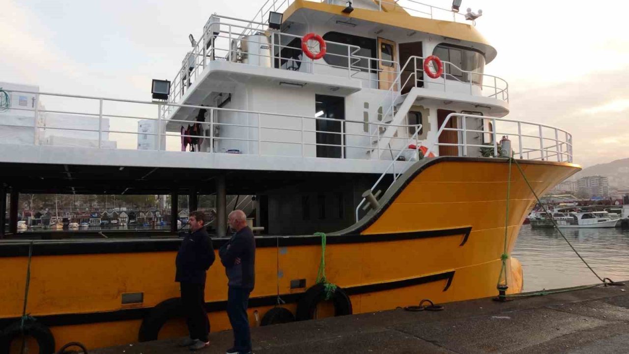 Karadeniz’de bu sezon uzun yıllar sonra ilk kez hamsi bolluğu