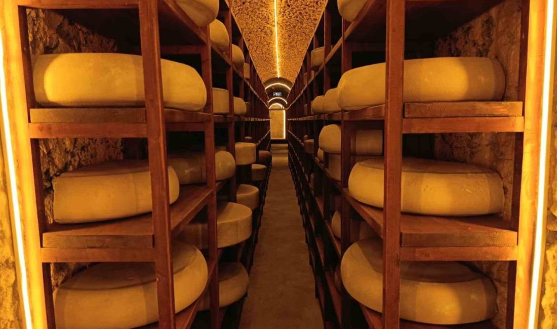 Türkiye’nin ilk tematik Peynir Müzesi yerli ve yabancı turistlerden yoğun