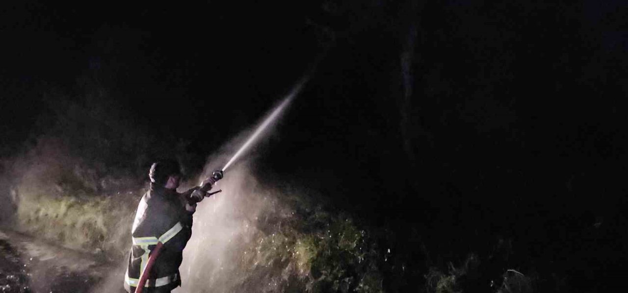Kastamonu’nun Cide ilçesinde ormanlık alanda çıkan yangın itfaiye ekipleri tarafından