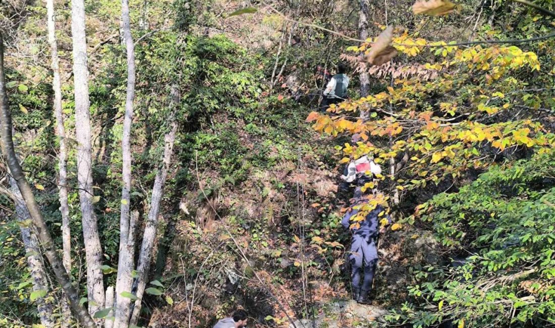 Kastamonu’nun Bozkurt ilçesinde 9 gündür kayıp olarak aranan annenin cansız