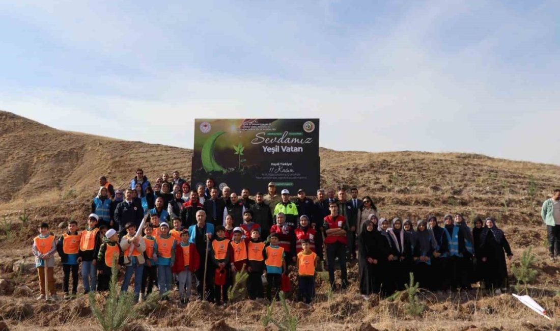 Oltu Orman İşletme Müdürlüğü tarafından 11 Kasım “Milli Ağaçlandırma Günü”
