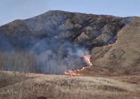 Erzurum’un Oltu ilçesine bağlı Süleymanlı Mahallesi’nde çıkan örtü yangını, ekiplerin