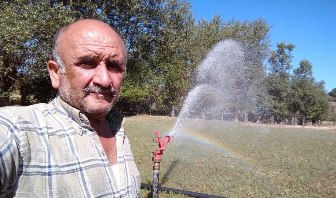 Kastamonu’da domuz avı sırasında komşusunu vuran sanık hakkında 6 yıla