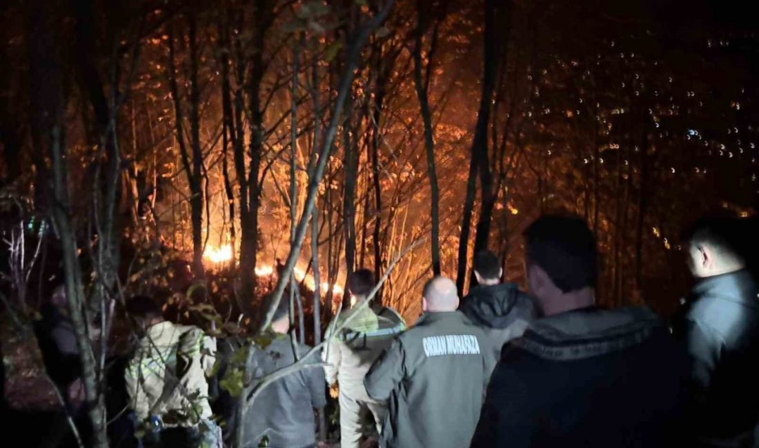 Ordu’nun Kumru ilçesinde ormanlık alanda yangın çıktı. Ekiplerin yangına müdahalesi
