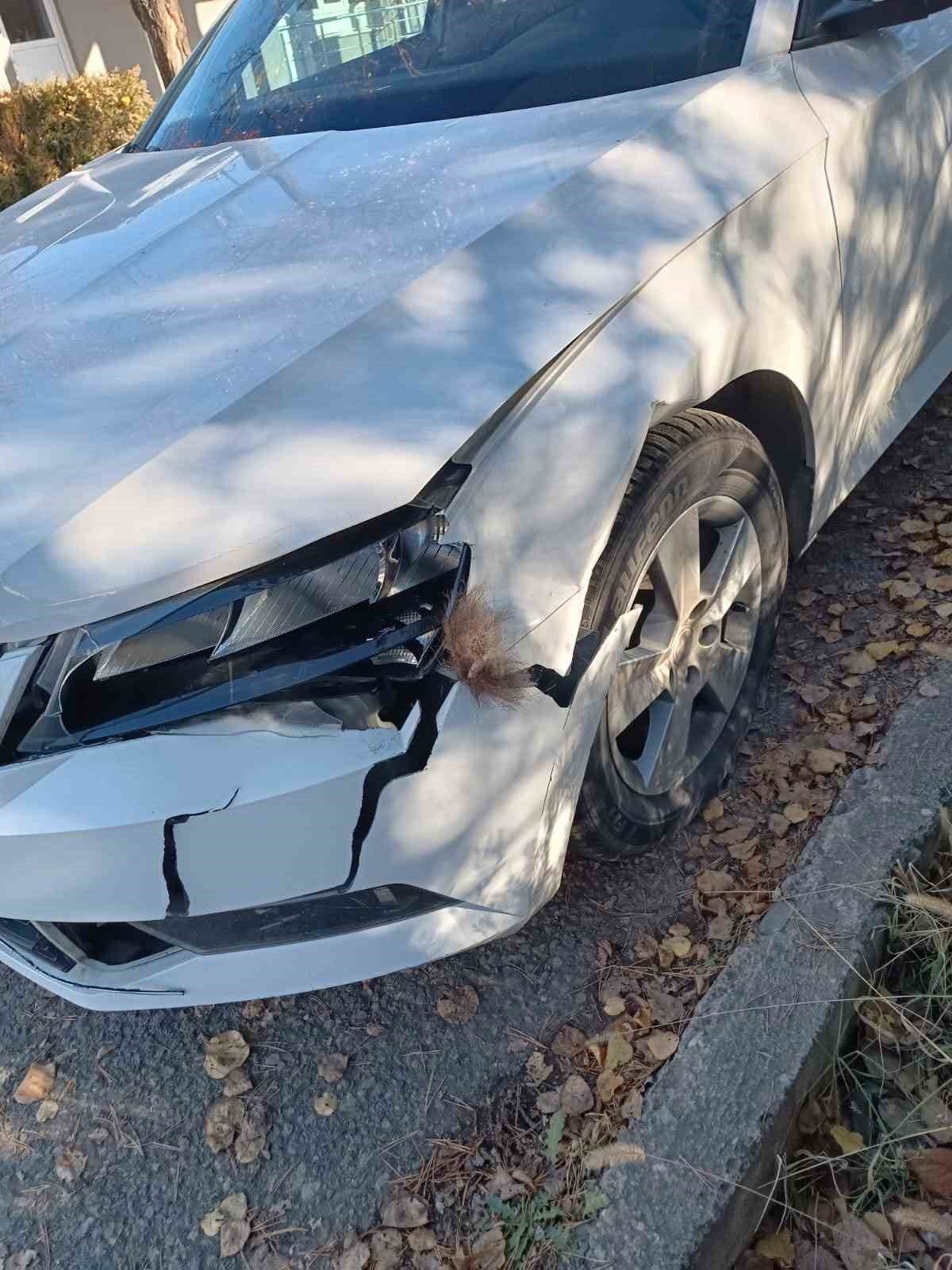 Erzurum’un İspir ilçesinde yola çıkan boz ayı otomobilde hasara neden