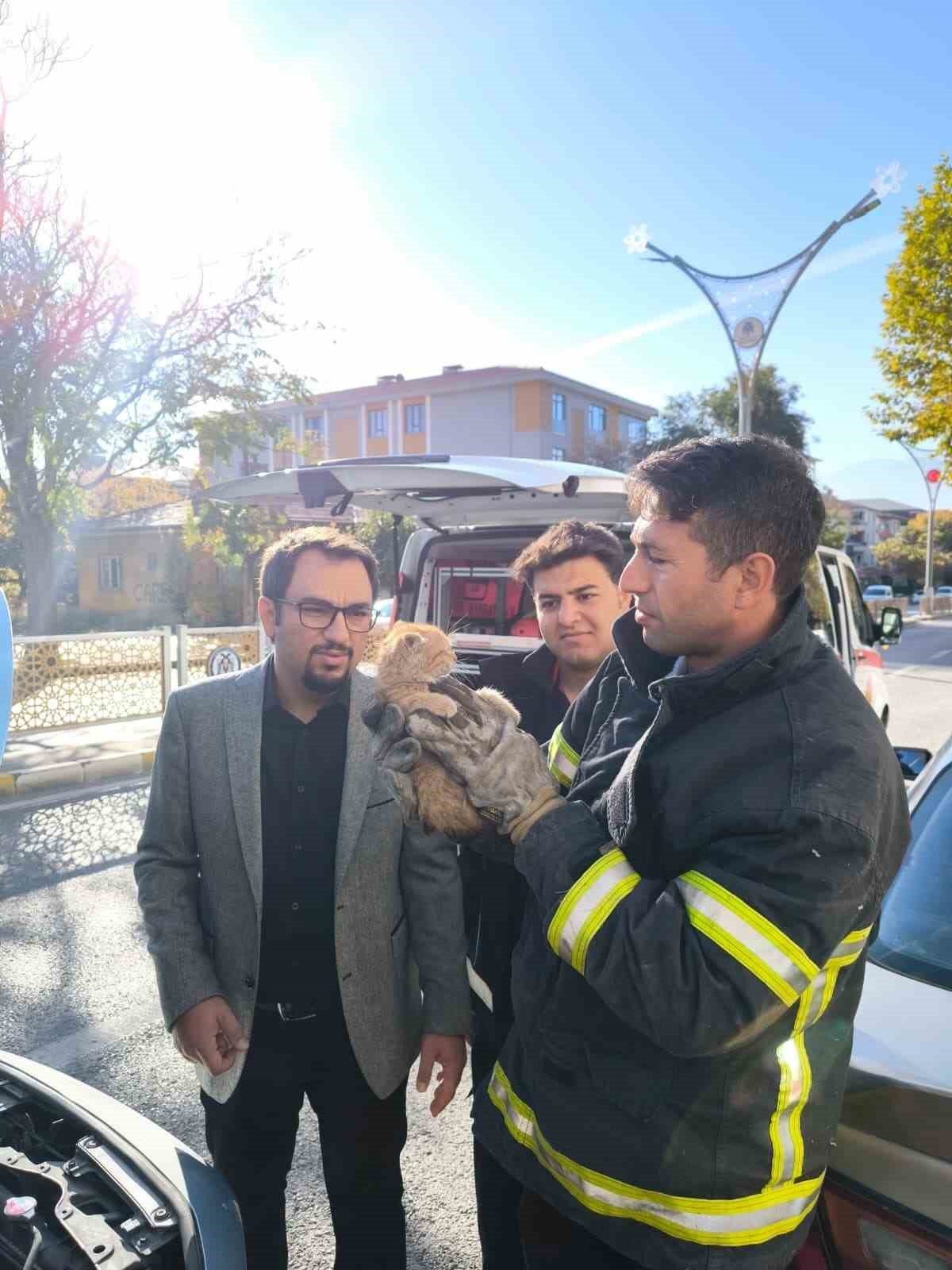 Erzincan’da aracın motor kısmına sıkışan yavru kedi, itfaiye ekiplerinin müdahalesiyle