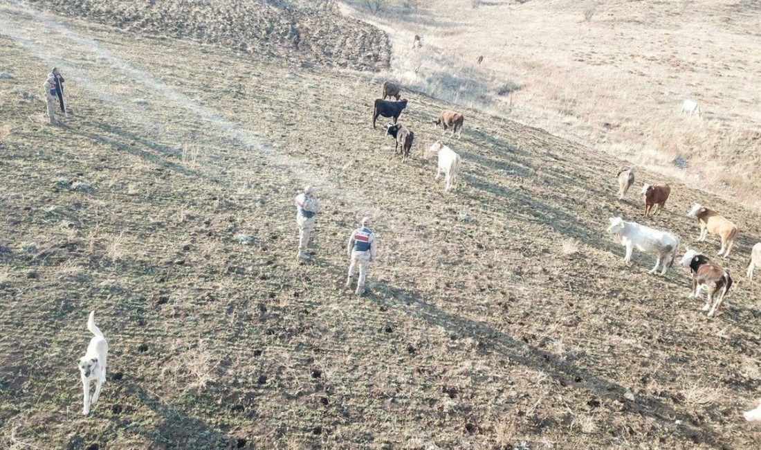 Erzincan’ın Refahiye ilçesi Kabuller köyünde yaşayan E.S., saat 22.00 sıralarında