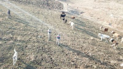 Erzincan’ın Refahiye ilçesi Kabuller köyünde yaşayan E.S., saat 22.00 sıralarında