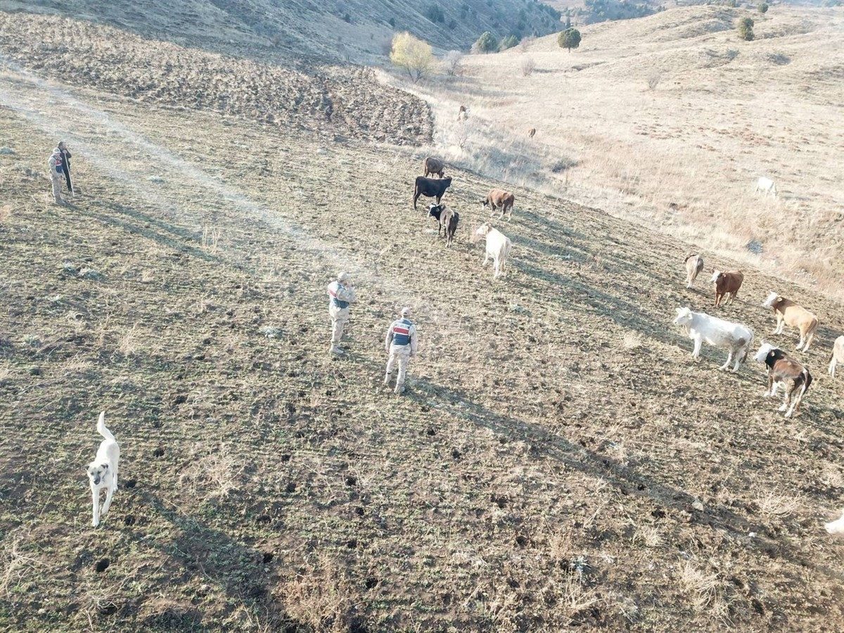 Erzincan’ın Refahiye ilçesi Kabuller köyünde yaşayan E.S., saat 22.00 sıralarında