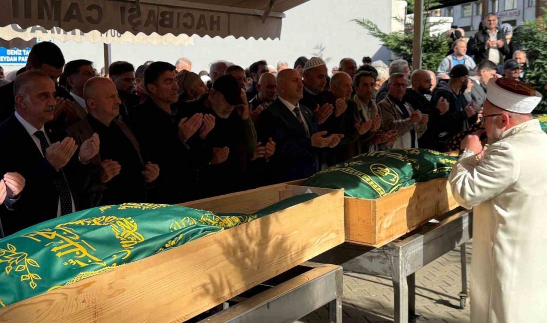 Rize’nin Çayeli ilçesine bağlı Erenler köyünde arı kovanlarını yerleştirmek için