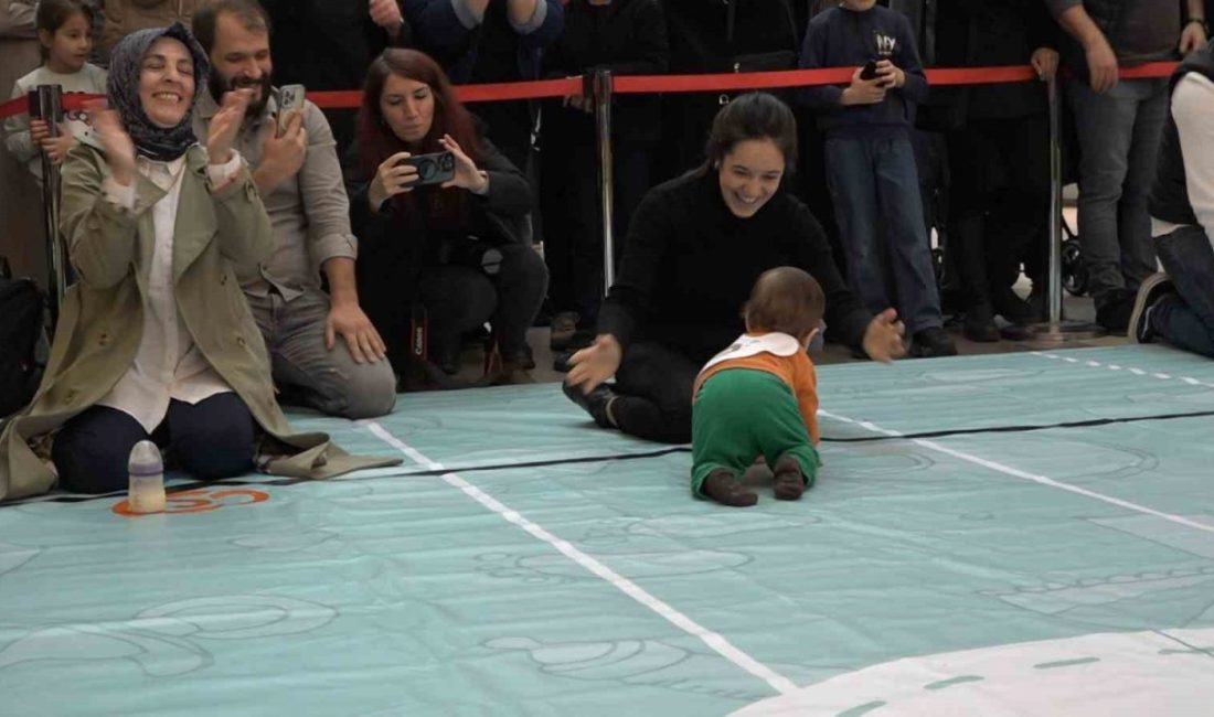 Rize’de düzenlenen bebek emekleme yarışmasında miniklerden çok aileleri efor sarf