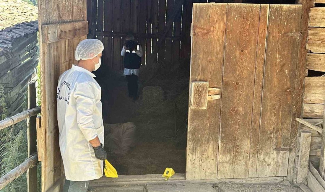 Kastamonu’da samanlıkta balta ile öldürüldükten sonra çuvala koyup dereye atılan