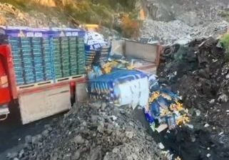 Artvin Sarp Sınır Kapısı’nda yapılan denetimlerde Mersin’den Gürcistan’a gönderilmek istenen