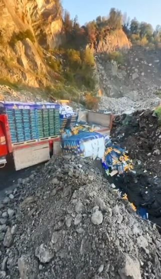 Artvin Sarp Sınır Kapısı’nda yapılan denetimlerde Mersin’den Gürcistan’a gönderilmek istenen