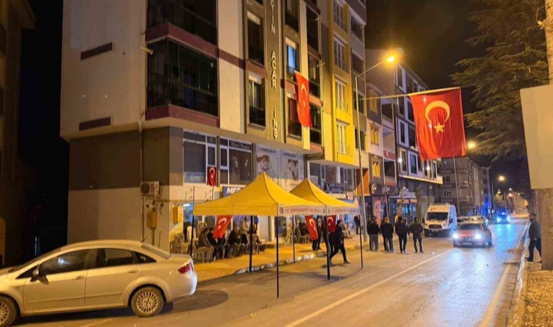 Gürcistan’da düşen Türk Hava Kuvvetleri’ne ait C-130 askeri kargo uçağında