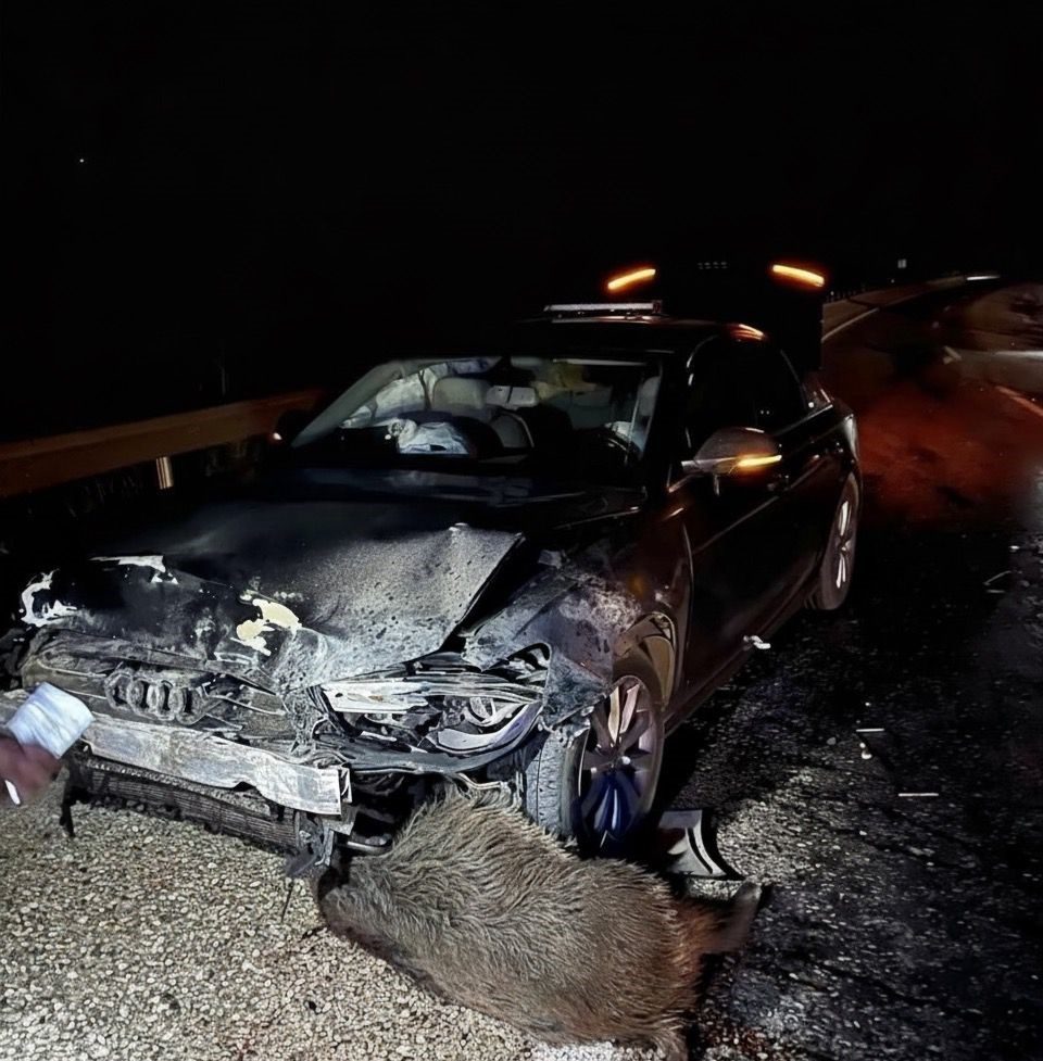 Sinop Belediye Başkanı Metin Gürbüz’ün makam aracı, Kastamonu’nun Hanönü ilçesinde