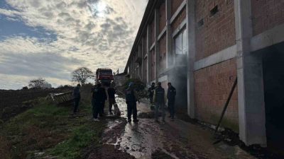 Sakarya’nın Kaynarca ilçesinde bulunan tavuk çiftliğinin depo kısmında çıkan ve