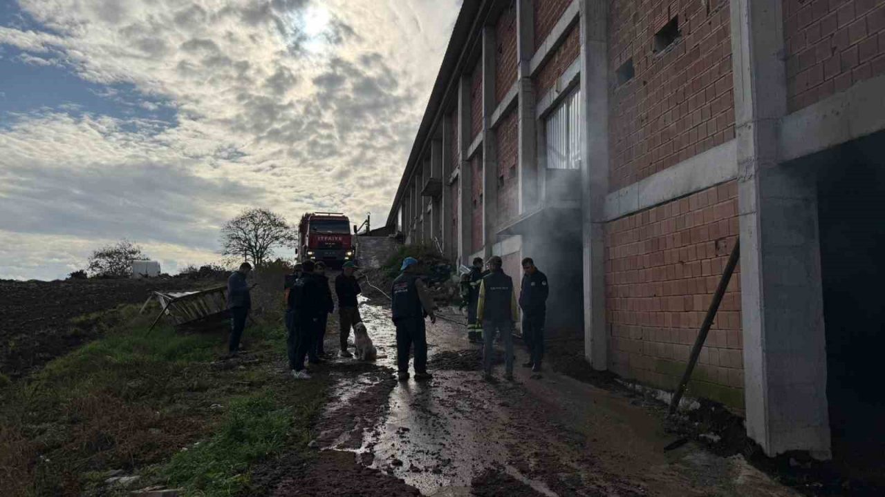 Sakarya’nın Kaynarca ilçesinde bulunan tavuk çiftliğinin depo kısmında çıkan ve