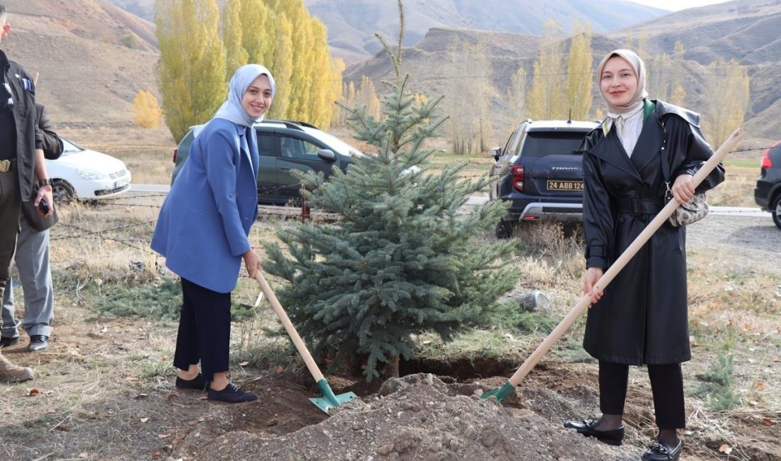 11 Kasım Milli Ağaçlandırma Günü Programı kapsamında, tüm Türkiye’de olduğu