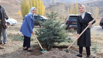 11 Kasım Milli Ağaçlandırma Günü Programı kapsamında, tüm Türkiye’de olduğu