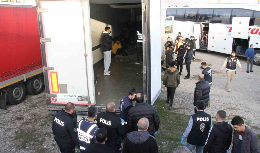 Sivas’ın Suşehri ilçesinde arama yapılan tırın dorsesinde gizlenmiş 28 kaçak