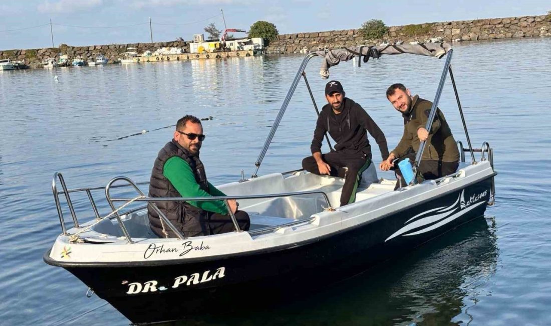 Trabzon açıklarında son dönemde köpek balıkları artan sıklıkla görülmeye başladı.