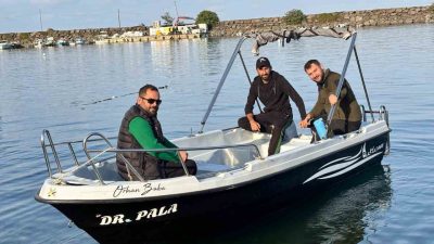 Trabzon açıklarında son dönemde köpek balıkları artan sıklıkla görülmeye başladı.