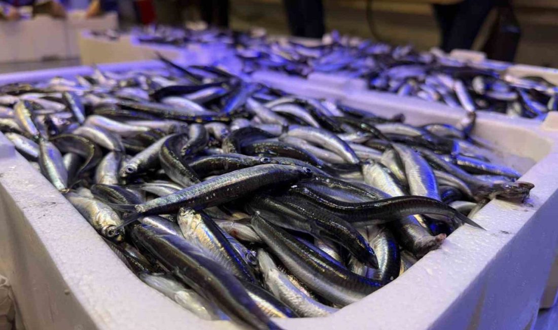 Balık sezonunun açılmasıyla birlikte Erzincan’da tezgâhlar taze balıklarla doldu. Kentte