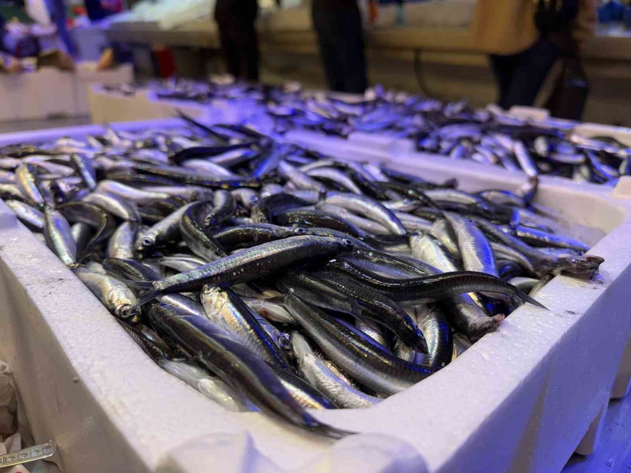 Balık sezonunun açılmasıyla birlikte Erzincan’da tezgâhlar taze balıklarla doldu. Kentte