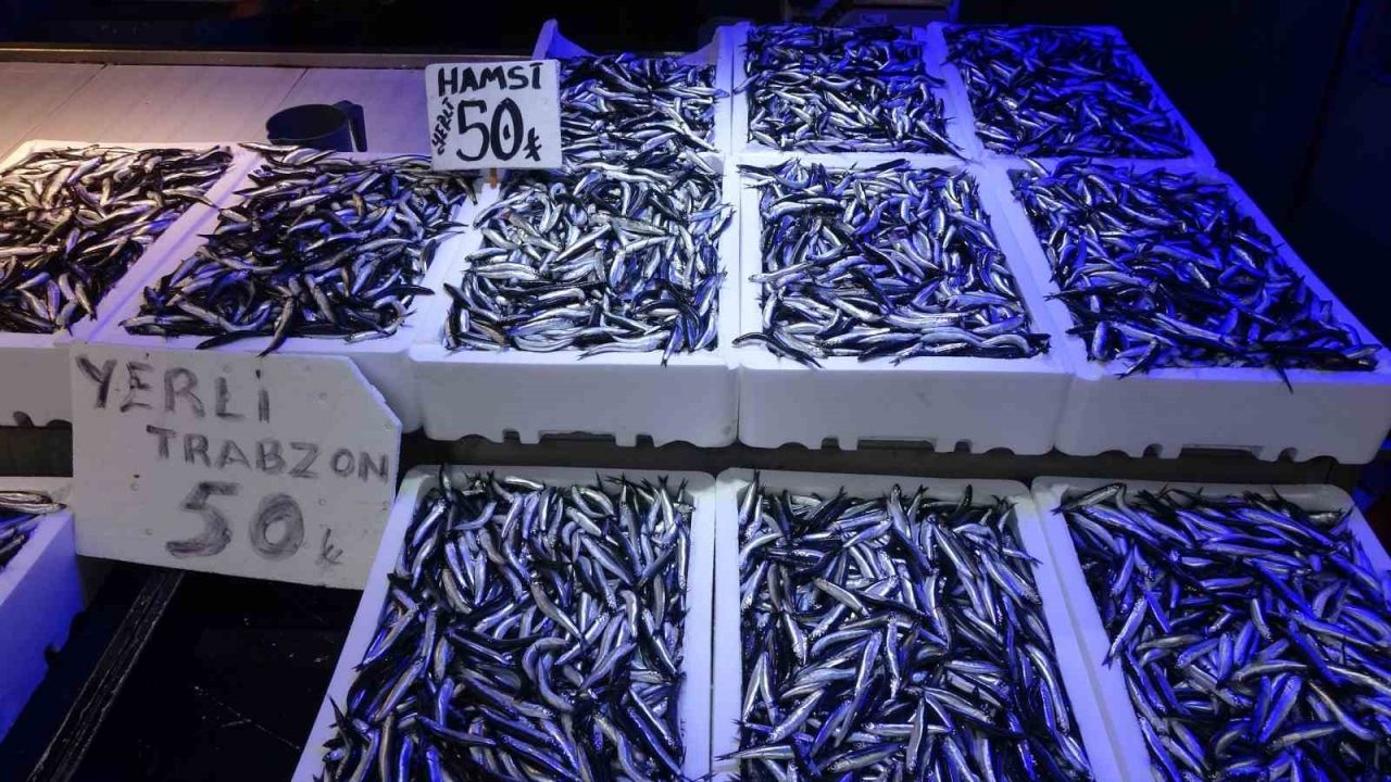 Karadeniz’de bu yıl hamsi bolluğu yaşanıyor. Geçen yıl palamutun bol