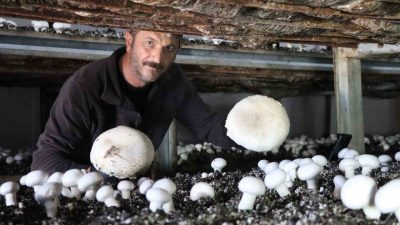 Erzurum’un Oltu ilçesinde kültür mantarı üretimi yapan Murat Özmen, yılın