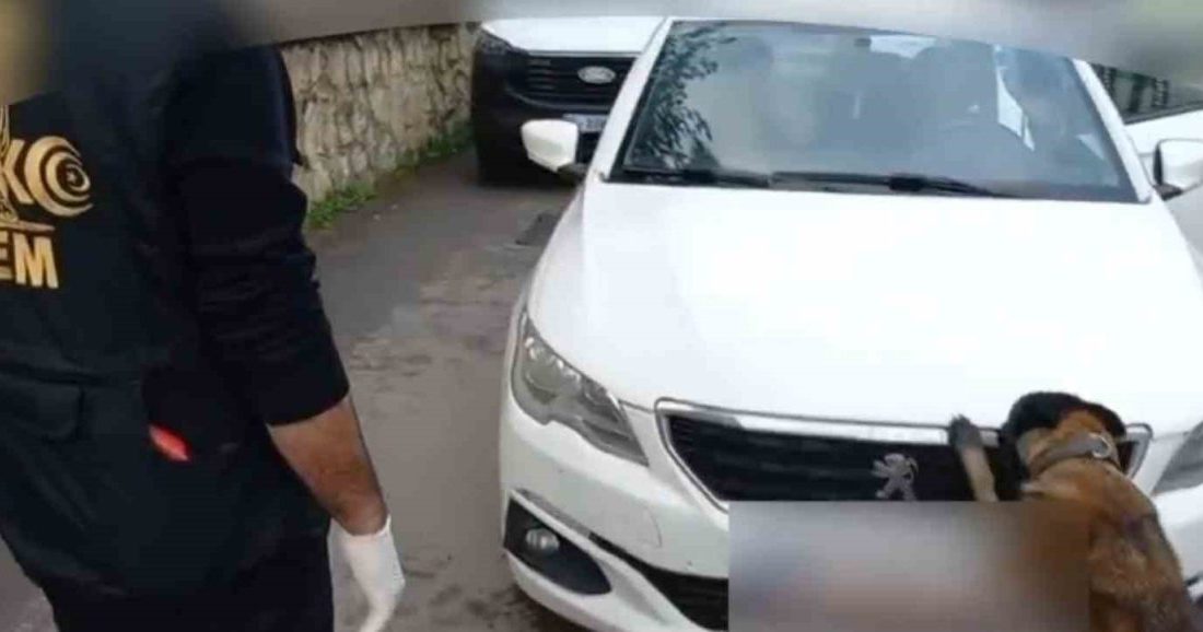 Sakarya’nın Akyazı ilçesinde araçta 92 kilo bonzai hammaddesi taşıyan 2