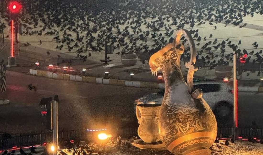 Erzincan’da kış aylarında özellikle akşam saatlerinde kent merkezine akın eden