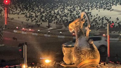 Erzincan’da kış aylarında özellikle akşam saatlerinde kent merkezine akın eden