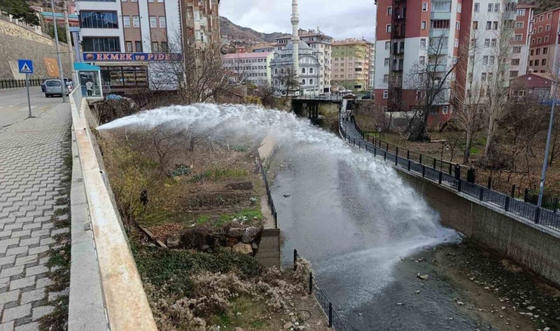 Gümüşhane’nin Karaer Mahallesi Alibeyler mevkiinde ana su boru hattında yapılan